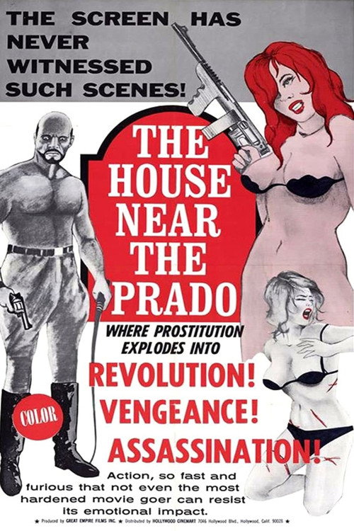 Movie poster for The House Near the Prado (1969)