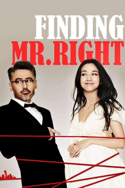 Movie poster for Finding Mr. Right (2013)