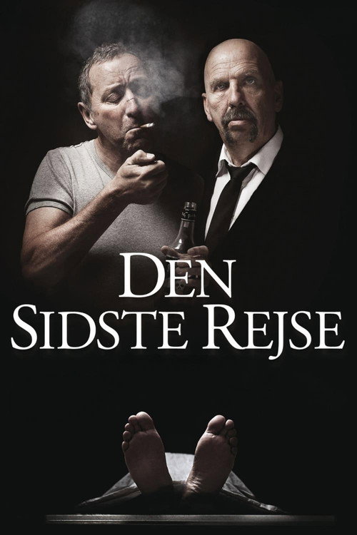 Movie poster for The Last Journey (2011)