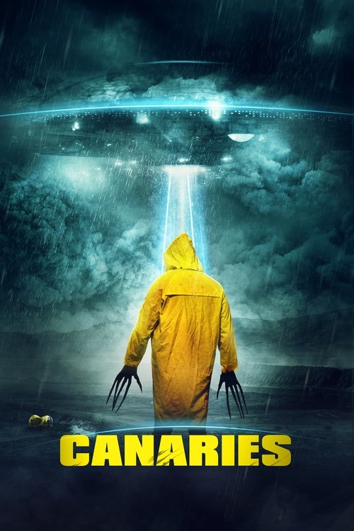 Movie poster for Canaries (2017)