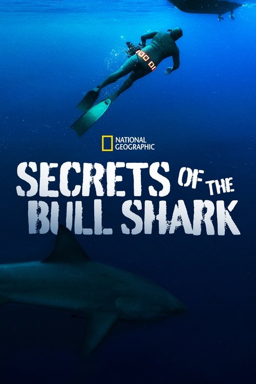Movie poster for Secrets of the Bull Shark (2020)