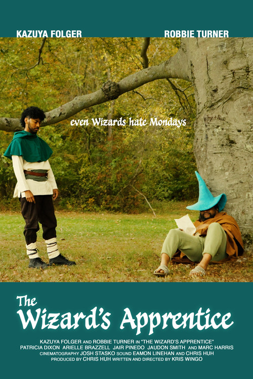 Movie poster for The Wizard's Apprentice