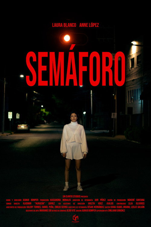 Movie poster for Traffic Light (2024)