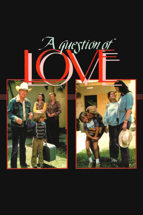 Movie poster for A Question of Love (1978)
