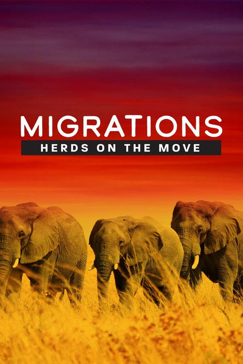 Movie poster for Migrations: Herds on the Move (2020)