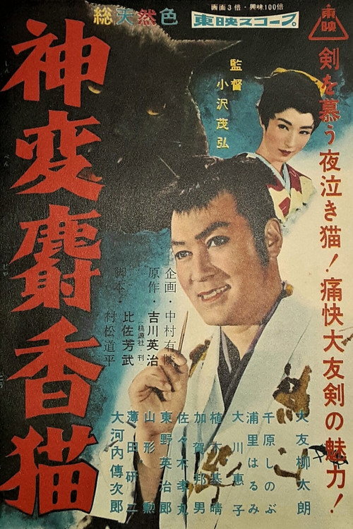 Movie poster for Princess of Revenge (1958)