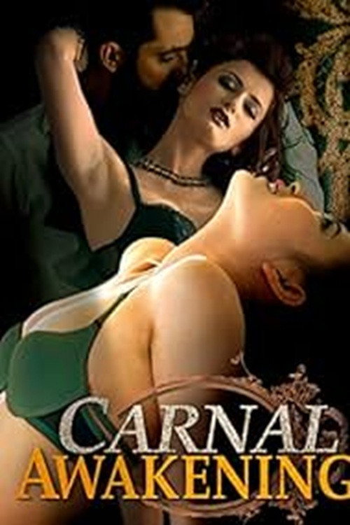 Movie poster for Carnal Awakenings (2013)