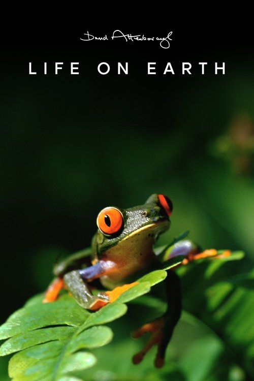 Life on Earth poster