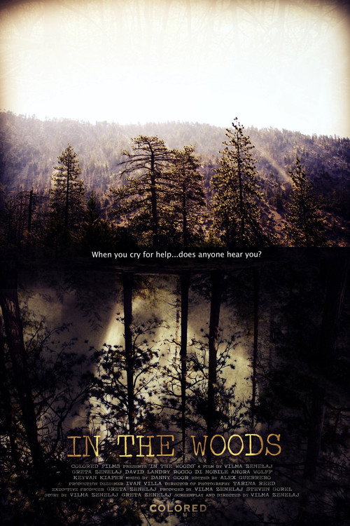 Movie poster for In the Woods (2010)
