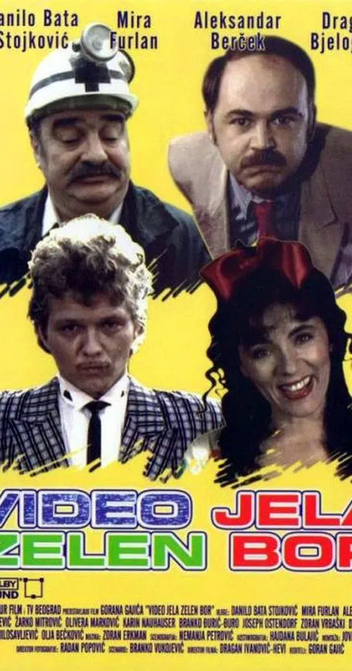 Movie poster for Dear Video (1991)