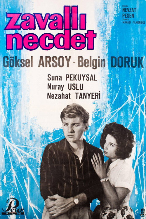 Movie poster for Zavallı Necdet (1961)
