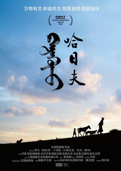 Movie poster for Harhuu (2020)