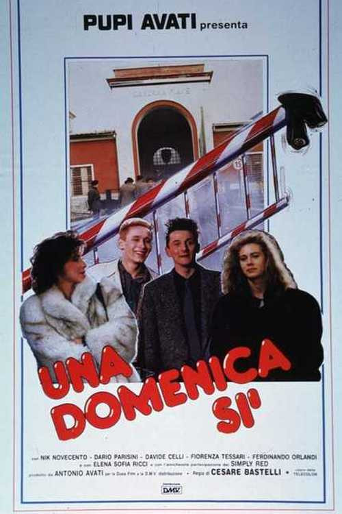 Movie poster for Una domenica sì (1986)