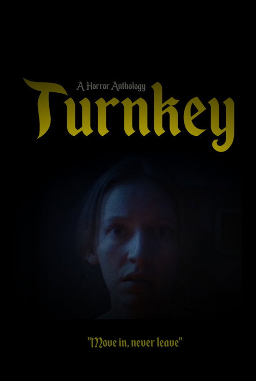 Movie poster for Turnkey