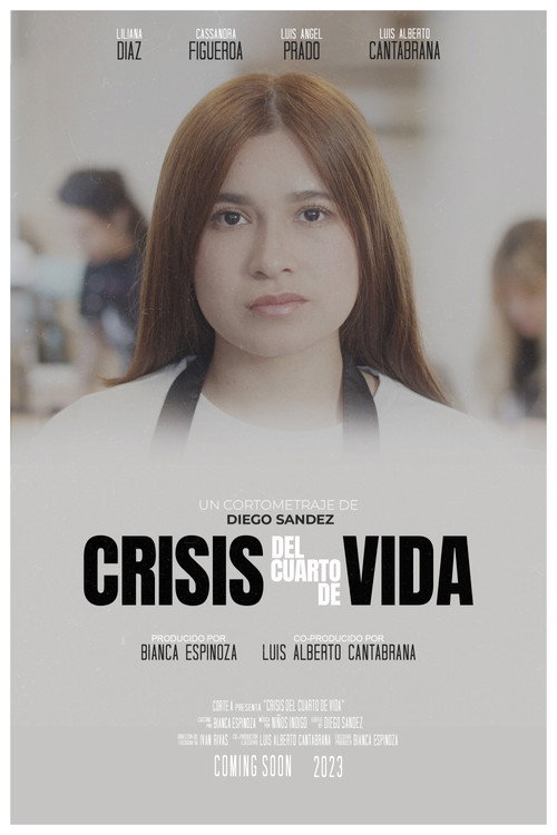 Movie poster for Quarter Life Crisis (2023)