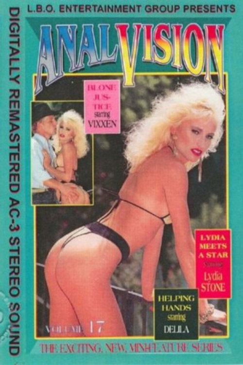 Movie poster for Anal Vision 17 (1993)