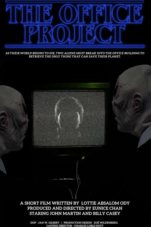 The Office Project poster