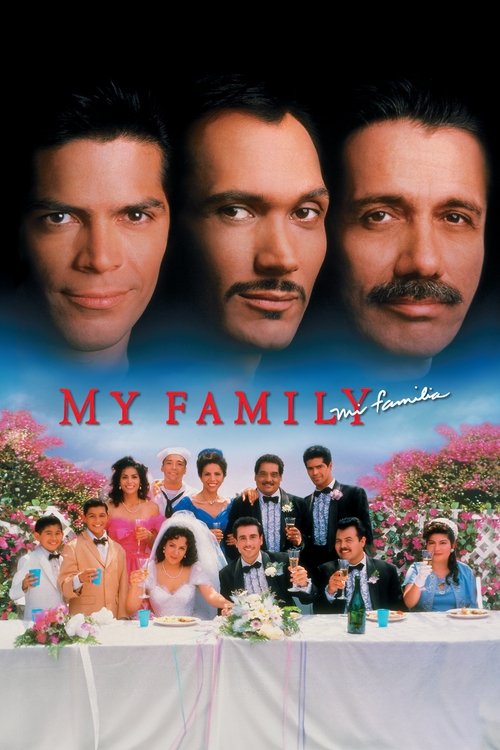 Movie poster for My Family (1995)