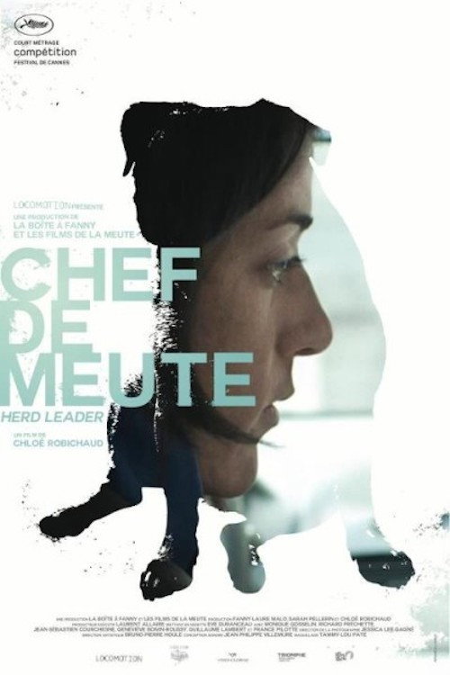 Movie poster for Herd Leader (2012)