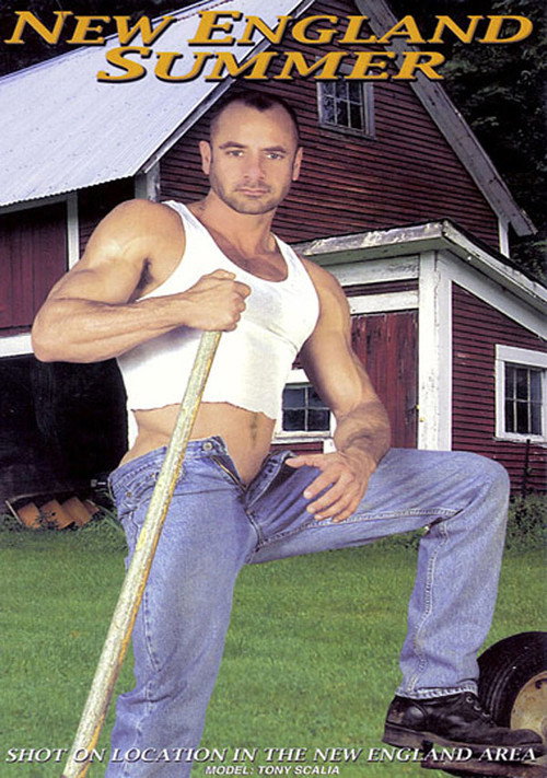 Movie poster for New England Summer (2002)