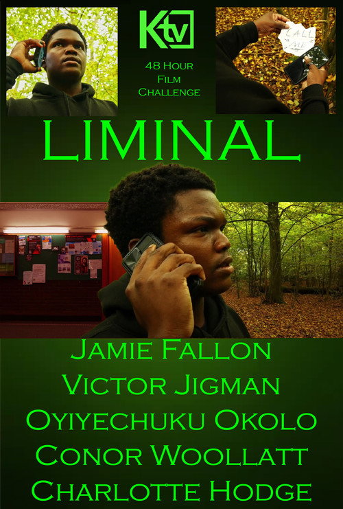 Movie poster for Liminal (2024)