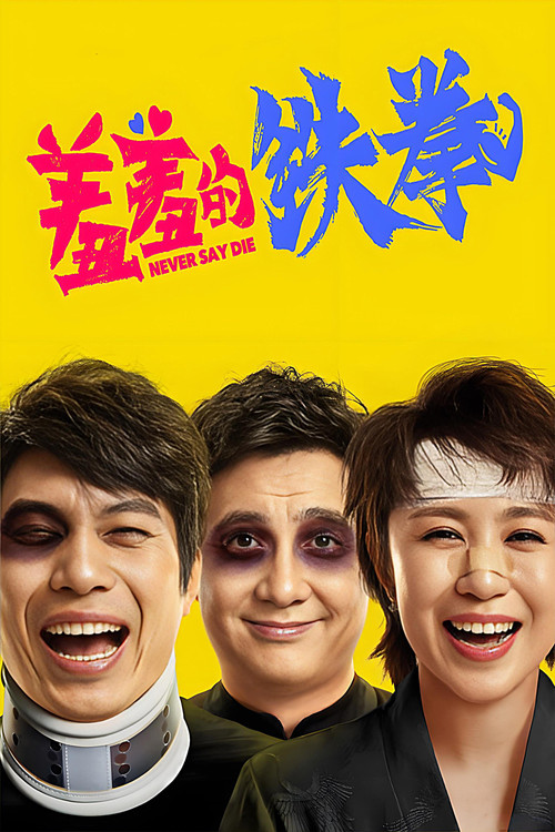 Movie poster for Never Say Die (2017)