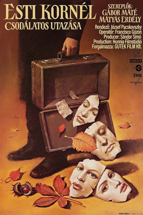 Movie poster for The Wondrous Voyage of Kornel Esti (1995)