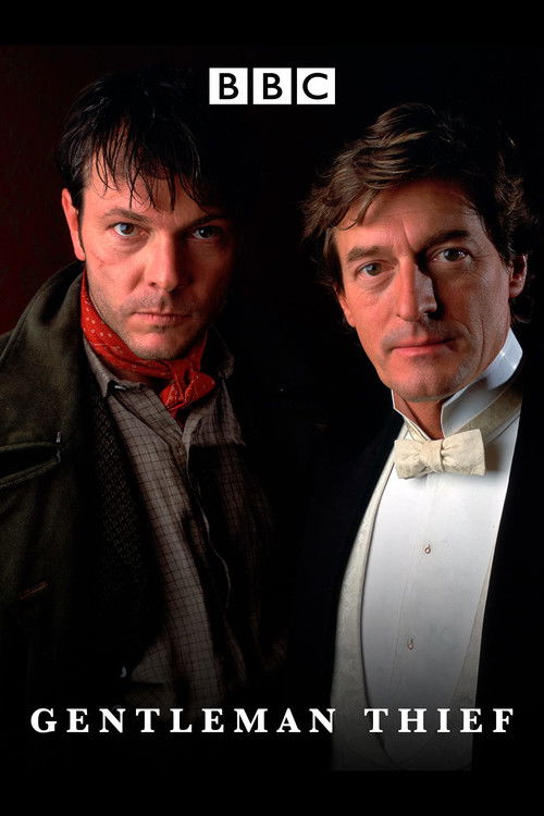 Movie poster for The Gentleman Thief (2001)