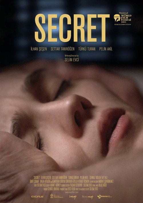 Movie poster for Secret (2015)