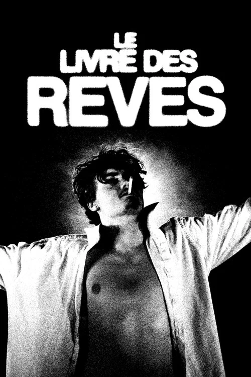 Movie poster for Le livre des rêves
