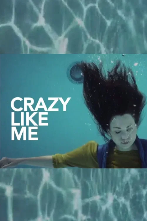 Movie poster for Crazy Like Me (2013)