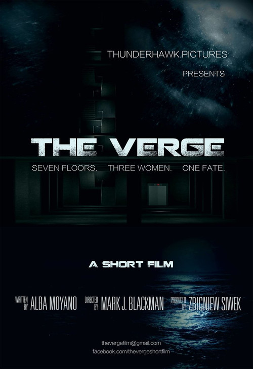 Movie poster for The Verge