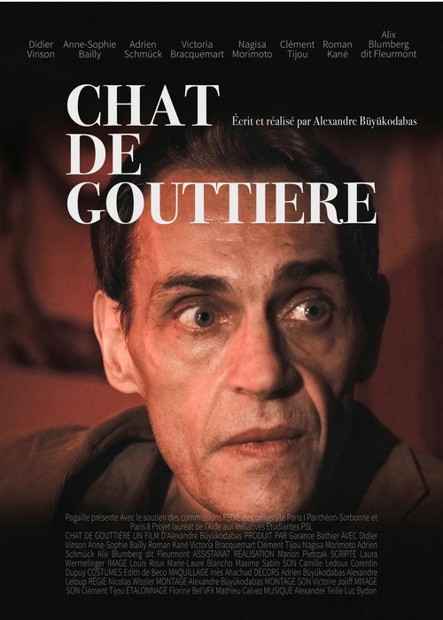Movie poster for Chat de gouttière