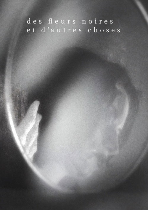 Movie poster for Des fleurs noires et d'autres choses