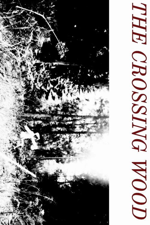 Movie poster for The Crossing Wood