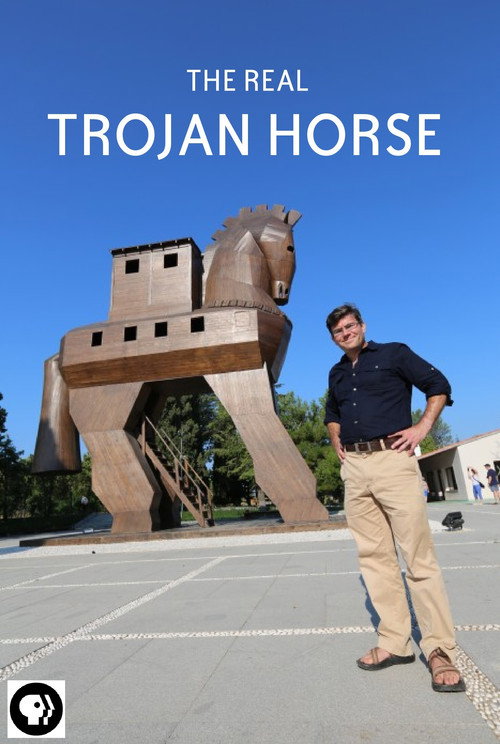 Movie poster for Secrets of the Dead: The Real Trojan Horse (2015)