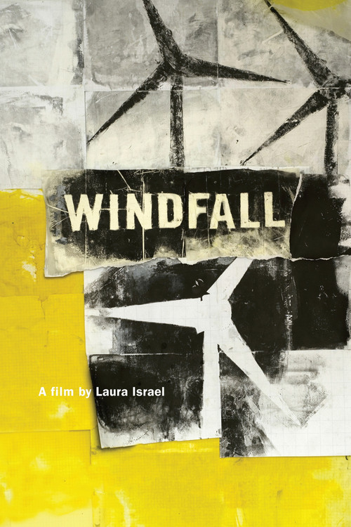 Movie poster for Windfall (2012)