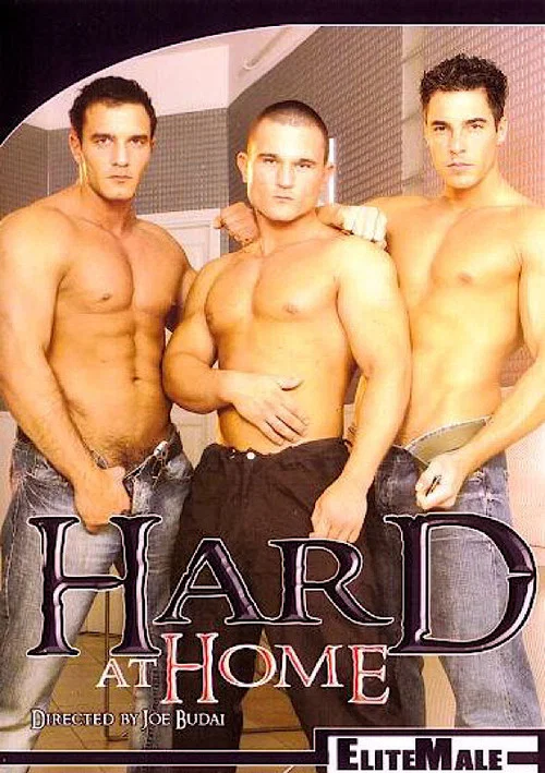 Movie poster for Hard at Home (2006)