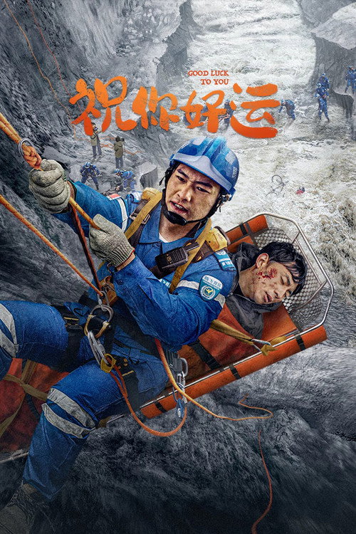 Movie poster for 祝你好运 (2025)