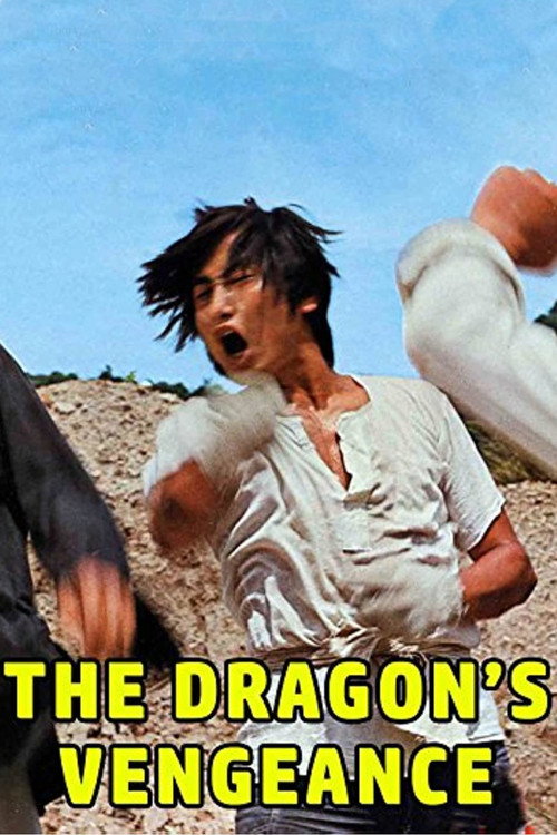 Movie poster for The Dragon's Vengeance (1972)