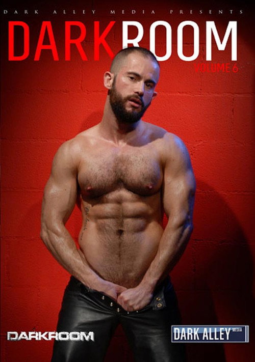 Movie poster for DarkRoom 6 (2014)