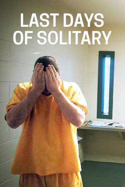 Movie poster for Last Days of Solitary (2017)