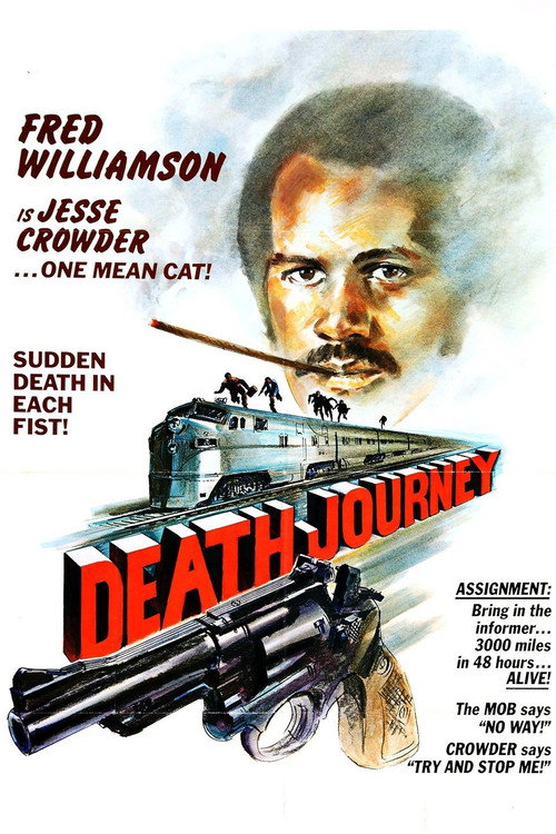 Movie poster for Death Journey (1976)