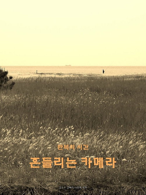 Movie poster for wandering camera (2020)