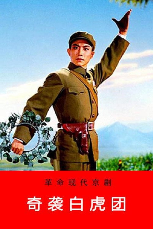 Movie poster for Raid on the White Tiger Regiment (1972)