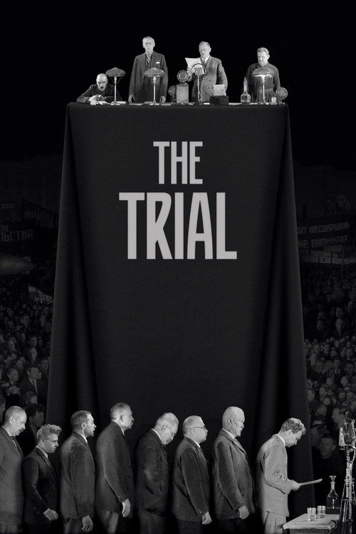 Movie poster for The Trial (2018)