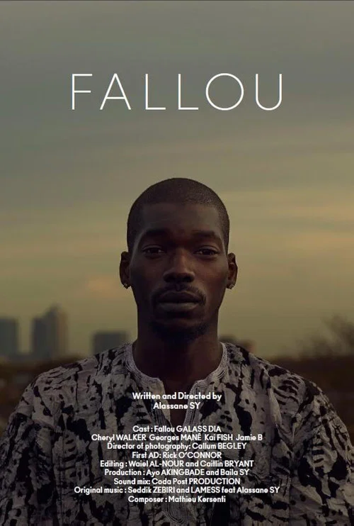 Movie poster for Fallou (2017)