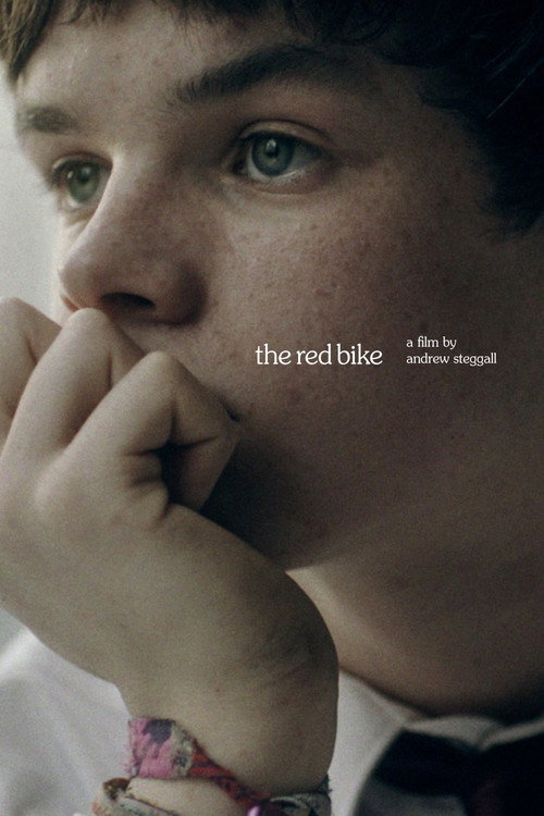 Movie poster for The Red Bike (2011)