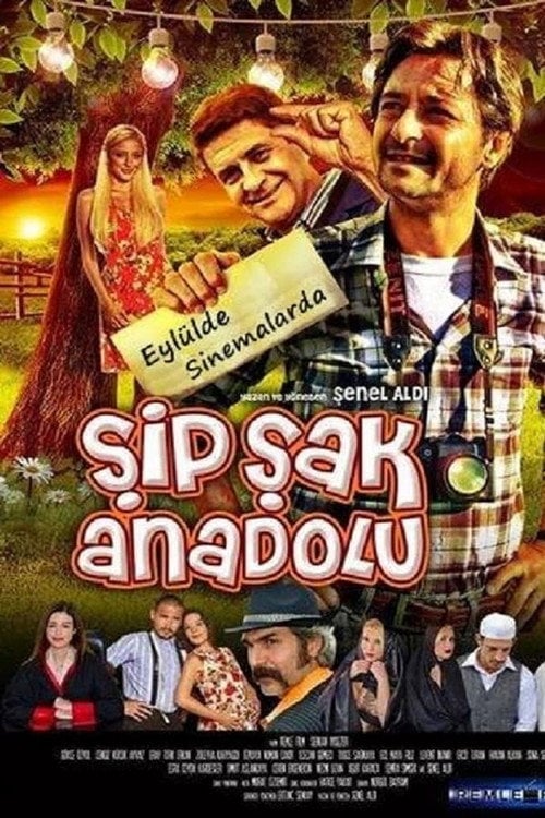 Movie poster for Şipşak Anadolu (2014)