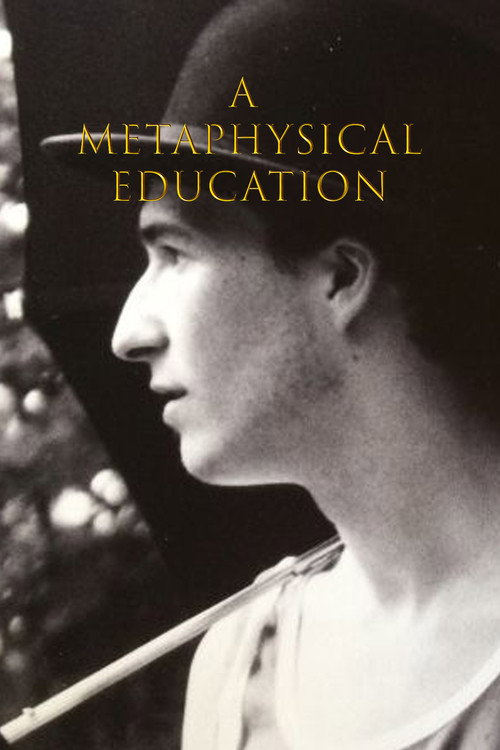 Movie poster for A Metaphysical Education (2004)